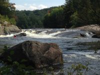 Taylorville Powerline Rapids Beaver 9-7-2015_00027.JPG