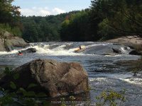 Taylorville Powerline Rapids Beaver 9-7-2015_00032.JPG