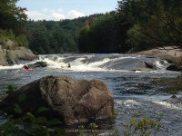 Taylorville Powerline Rapids Beaver 9-7-2015_00034.JPG