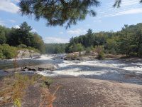 Taylorville Powerline Rapids Beaver 9-7-2015_00039.JPG