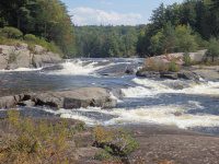 Taylorville Powerline Rapids Beaver 9-7-2015_00042.JPG