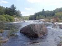 Taylorville Powerline Rapids Beaver 9-7-2015_00043.JPG