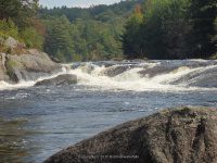 Taylorville Powerline Rapids Beaver 9-7-2015_00045.JPG