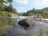 Taylorville Powerline Rapids Beaver 9-7-2015_00046.JPG