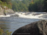 Taylorville Powerline Rapids Beaver 9-7-2015_00047.JPG