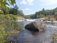 Taylorville Powerline Rapids Beaver 9-7-2015_00048.JPG