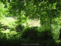 Duross Conservancy Oneida Creek Small Falls on 7-7-2012_00005.JPG