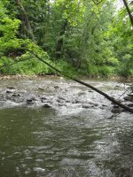 Duross Conservancy Oneida Creek Small Falls on 7-7-2012_00012.JPG