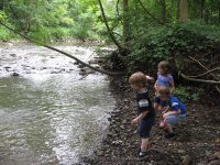 Duross Conservancy Oneida Creek Small Falls on 7-7-2012_00013.JPG