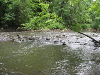 Duross Conservancy Oneida Creek Small Falls on 7-7-2012_00014.JPG