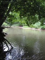 Duross Conservancy Oneida Creek Small Falls on 7-7-2012_00015.JPG