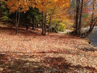 Lyonsdale Parking 10-17-2015_00003.JPG