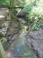Hamilton College Root Glen 7-8-2012_00003.JPG