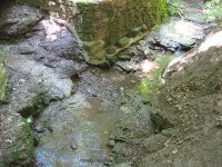 Hamilton College Root Glen 7-8-2012_00006.JPG