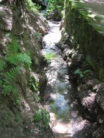 Hamilton College Root Glen 7-8-2012_00007.JPG