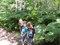Hamilton College Root Glen 7-8-2012_00009.JPG