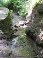 Hamilton College Root Glen 7-8-2012_00012.JPG