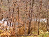 Mill Creek falls on Oneida County 10-18-2014_00005.JPG