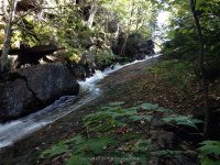 Lewis Eagle Section Beaver River falls on 1 9-20-2015_00001.JPG