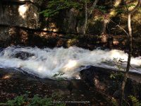 Lewis Eagle Section Beaver River falls on 1 9-20-2015_00011.JPG