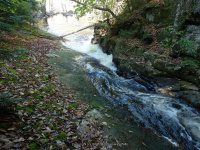 Lewis Eagle Section Beaver River falls on 1 9-20-2015_00018.JPG