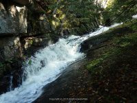 Lewis Eagle Section Beaver River falls on 1 9-20-2015_00019.JPG