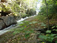 Lewis Eagle Section Beaver River falls on 1 9-20-2015_00020.JPG