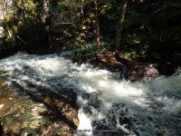 Lewis Eagle Section Beaver River falls on 1 9-20-2015_00024.JPG