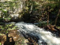 Lewis Eagle Section Beaver River falls on 1 9-20-2015_00025.JPG