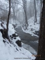 LITTLE CHUCTANUNDA FALLS MONTGOMERY COUNTY EASTERN NEW YORK 1-13-2013_00003.JPG