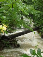 Unknown Falls (Sharon Springs)Schoharie Eastern NY 8-22-2014_00002.JPG