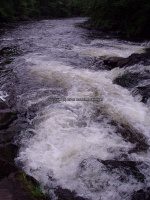 Bagley Rapids Oconto County WI 7-2-2007_00005.jpg
