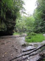 Matthiessen SP Lower Dells Area 9-3-2011_00007.JPG