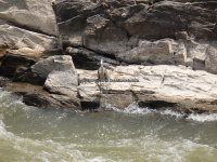 Great Falls State Park MD 7-9-2014 1_00019.JPG