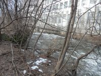 NORTH CHUCTANUNDA FALLS MONTGOMERY COUNTY EASTERN NEW YORK 1-14-2013_00007.JPG