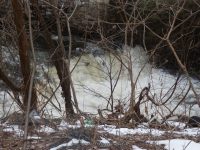 NORTH CHUCTANUNDA FALLS MONTGOMERY COUNTY EASTERN NEW YORK 1-14-2013_00010.JPG