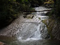 Roaring Run 2nd Bridge to Roaring Run Falls_00008.JPG