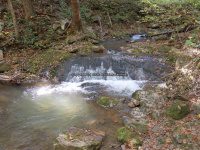 Roaring Run to 1st Bridge_00012.JPG