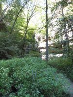 Starved Rock SP 2 Tonti Canyon_00003.JPG