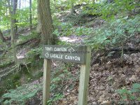 Starved Rock SP 2 Tonti Canyon_00014.JPG