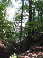 Starved Rock SP 3 Owl Canyon_00011.JPG
