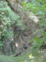 Starved Rock SP 3 Owl Canyon_00012.JPG