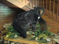Starved Rock SP Visitor Center and Lodge_00016.JPG