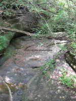 Starved Rock SP 3 French Canyon_00010.JPG