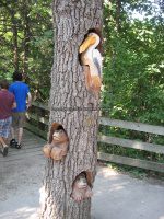 Starved Rock SP 1 Aurora Canyon_00003.JPG