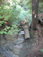 Starved Rock SP 2 Sac Canyon_00002.JPG