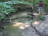 Starved Rock SP 2 Sac Canyon_00003.JPG