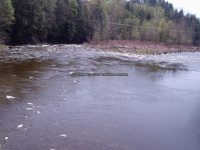 Fish Creek 5-9-2007 Palmer Rd_00004.JPG