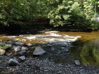 MAD RIVER ONEIDA COUNTY CENTRAL NEW YORK 9-1-2014_00010.JPG