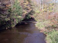 MAD RIVER ONEIDA COUNTY CENTRAL NEW YORK 9-29-2007_00006.JPG